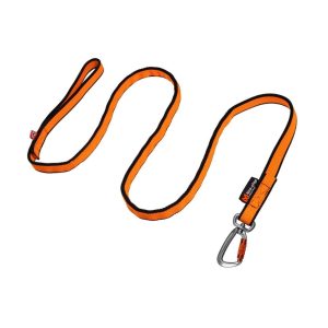 bungee leash 1x1 1